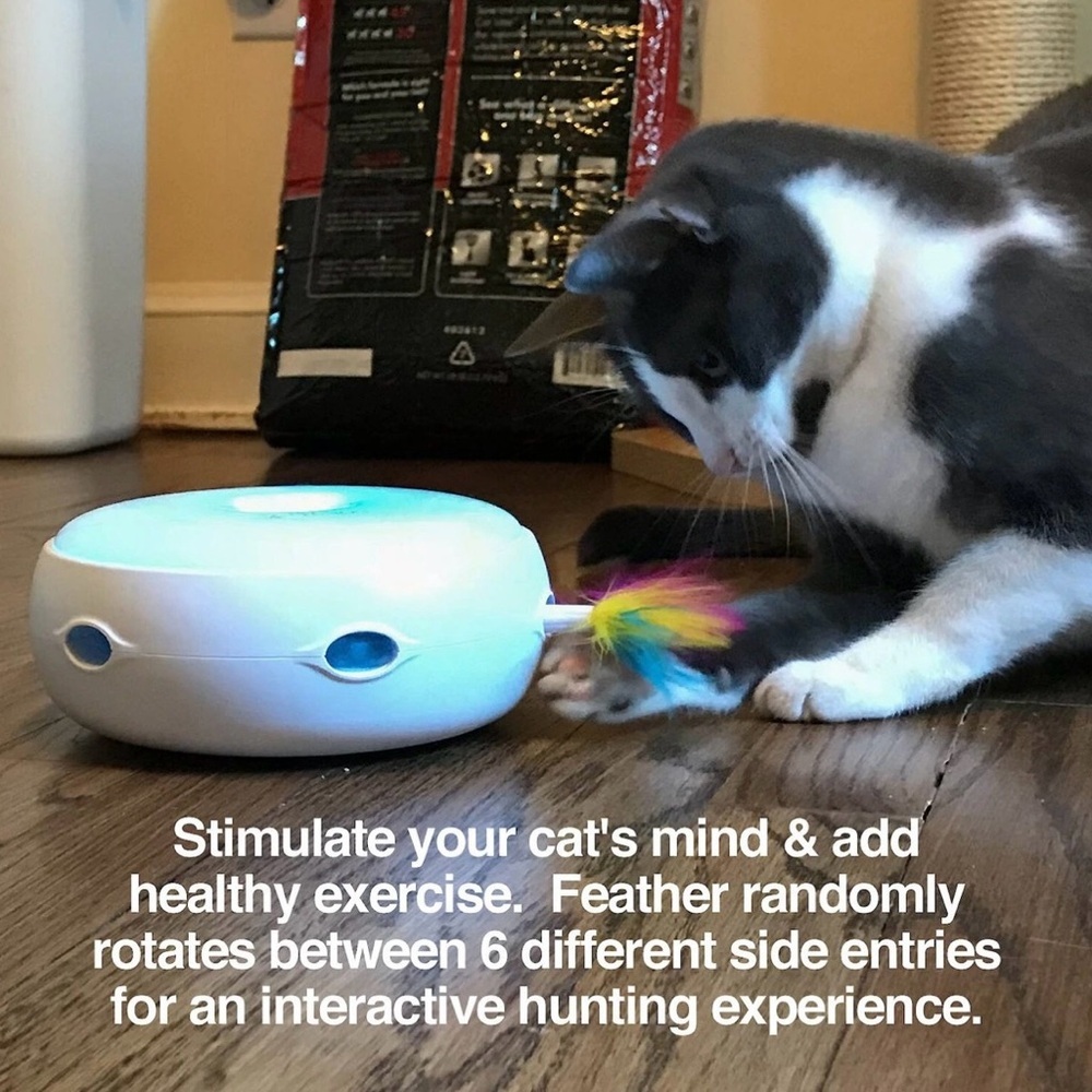 PetFusion Ambush Interactive Cat Toy White Feather Wand Stimulates Hunting NWOT - Picture 4 of 11